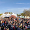 The Delicious World of Beer Festivals in Erie County, NY